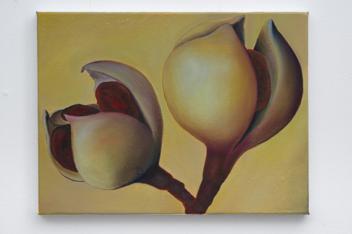 Ina van Zyl: Where are you from